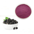Extrato de Wolfberry Negra Natural Puro Anthocianidina 5%-25%